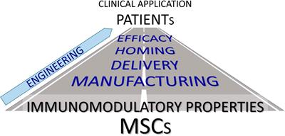 The Current Status of Mesenchymal Stromal Cells: Controversies, Unresolved Issues and Some Promising Solutions to Improve Their Therapeutic Efficacy